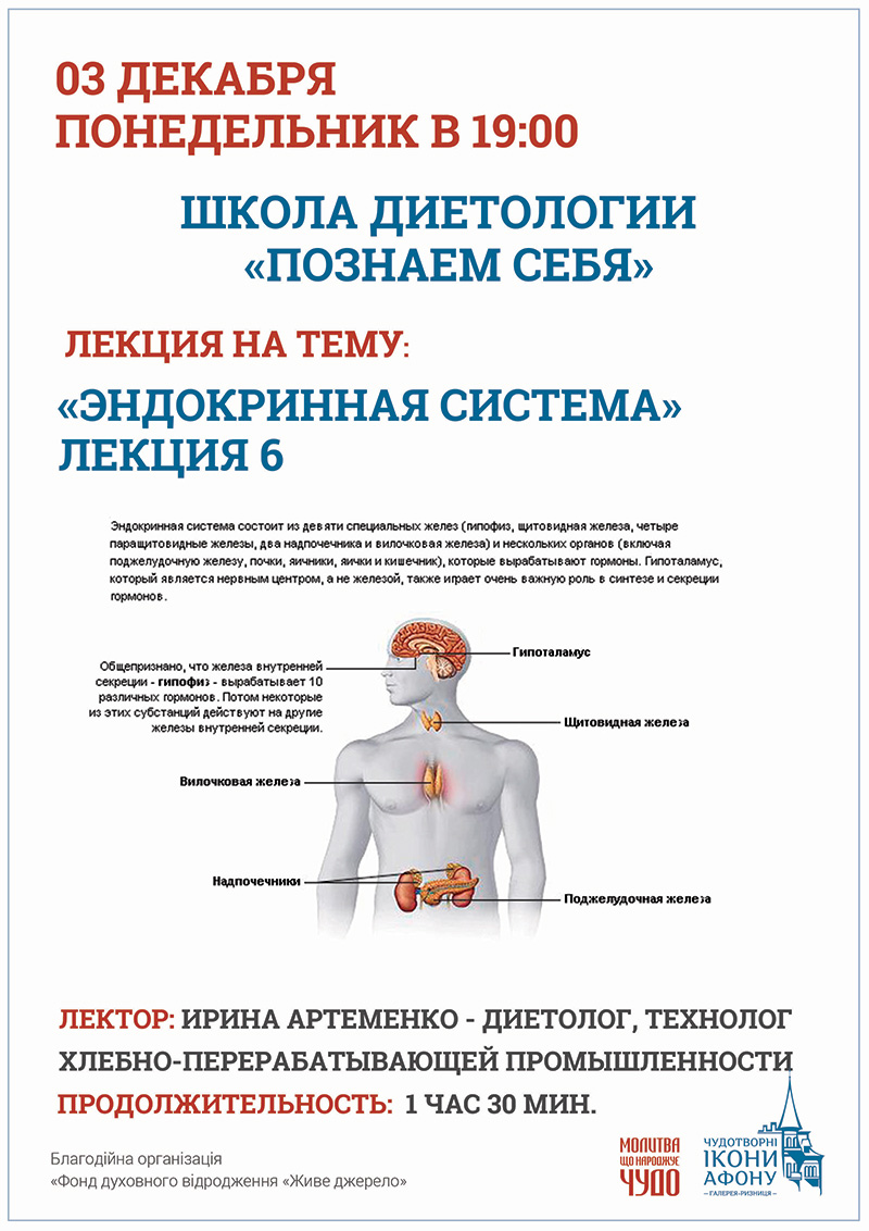 Эндокринная система. Школа диетологии в Киеве, Познаем себя